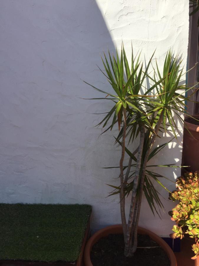 Vila Fidalgo Apartamento Nazaré Exterior foto